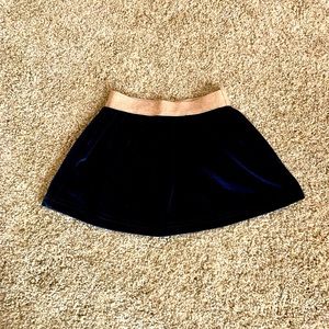 Blue Velvet Skirt